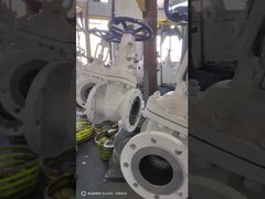 ANSI gate valve show