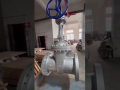 API ANSI DIN GATE VALVE