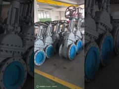 WCB WCC CF8 CF3 2205 Gate valve