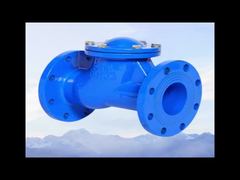 Ductile Iron Flange Check Valve Metal Valve PN16 DN100 One-Way Valve