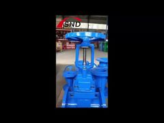 Ductile Iron Gate Valve